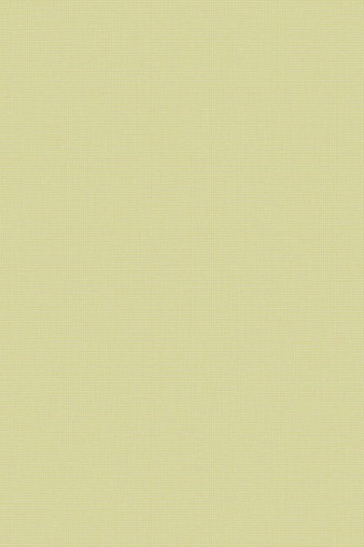 TISSAGE SOFT LIGHT GREEN 131
