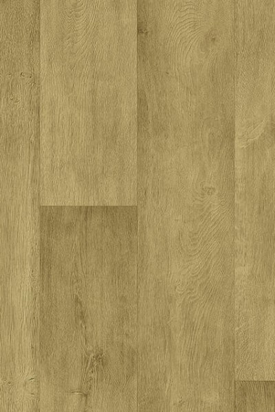 25103001 ELEGANT OAK LIGHT BROWN