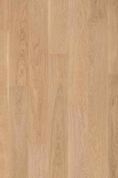 Shade Oak Essence 7877050 - 7879918