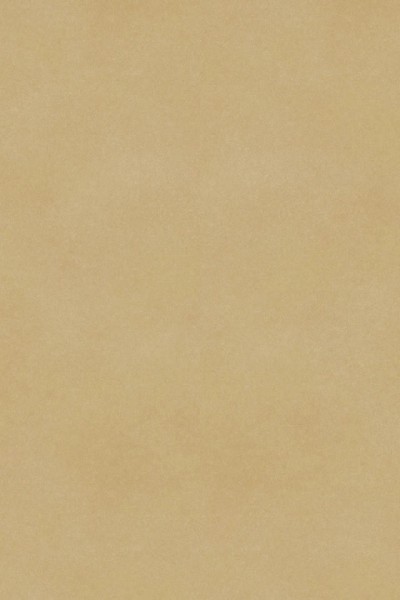 Inspiration 55 - 24522083 Fibra Natural