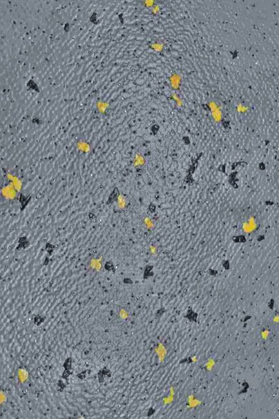 Gerflor - 8962
