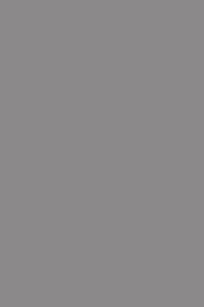 Evidance 25 - 1290-275 Grey