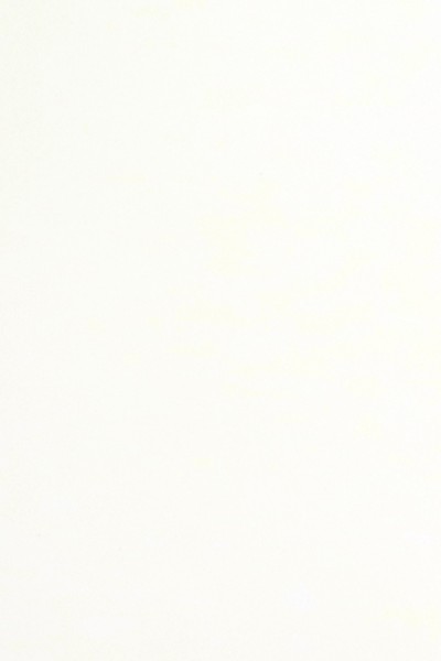 Shiny - White