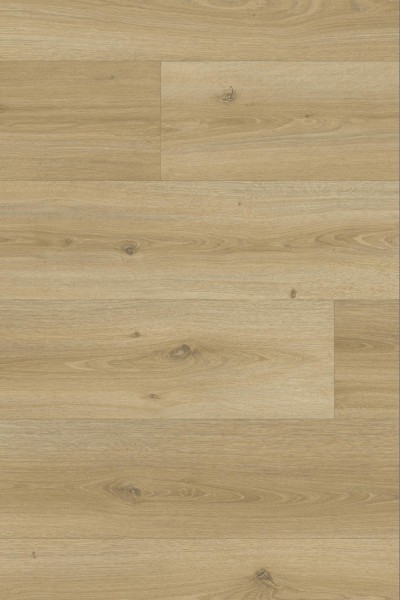 Iconik 280T - 240008017 Powell Oak Gold