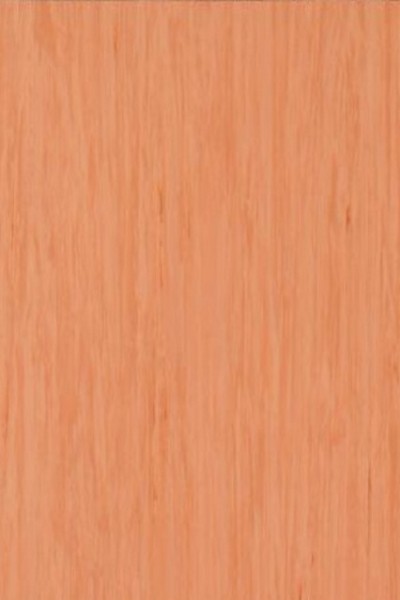 Standard Plus - 487