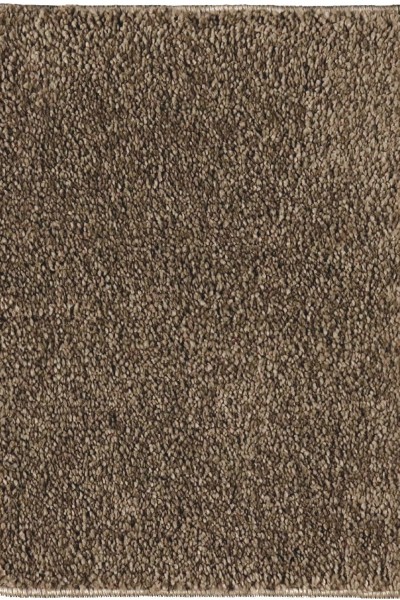 Fancy Brown-Beige