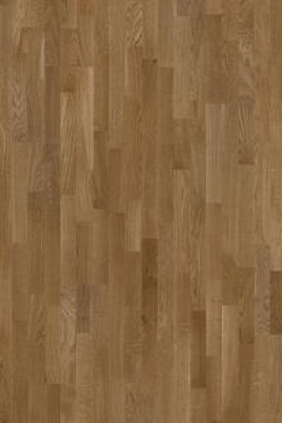 Shade Oak Almond Tres 8723042