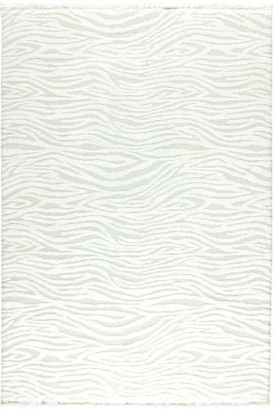Florida 80-65 White-Cream