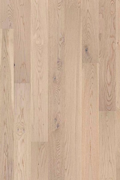 Shade Oak Antique White 7876962